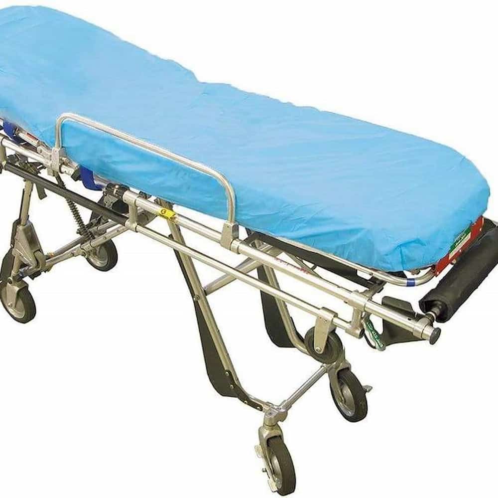 تصویر 3 از رو تختی کش دار یکبار مصرف آبی + قیمت عالی